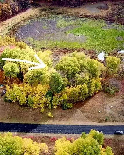 Shelby Twp, MI 49446,VL 13 Lakeview Dr