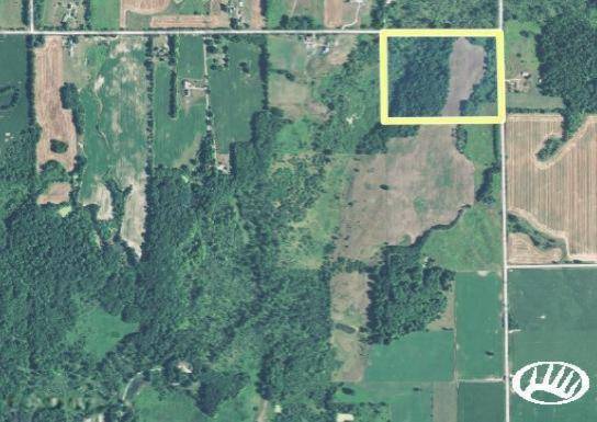 Cox Road, Assyria Twp, MI 49073