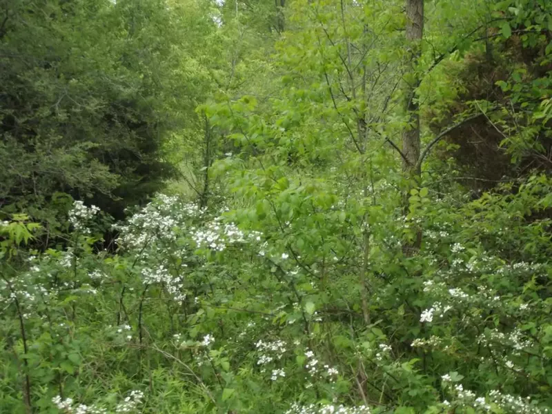 Peninsula Lane Modifier: Lot 5, Constantine Twp, MI 49042