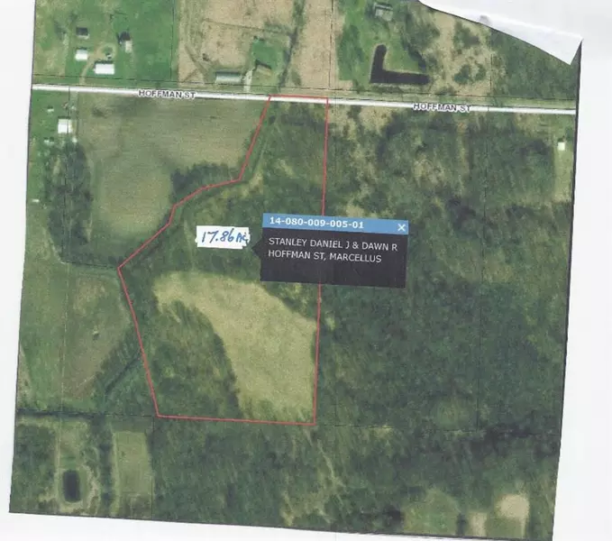 Hoffman Street, Newberg Twp, MI 49067