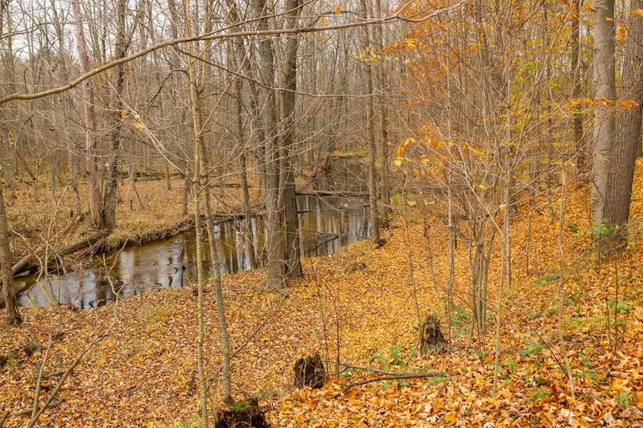 1955 Shaw Rd., Bailey, MI 49303
