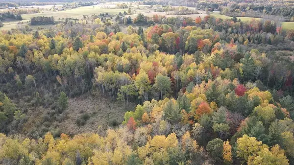 West Branch, MI 48661,1968 Lost Lake Trail Trail