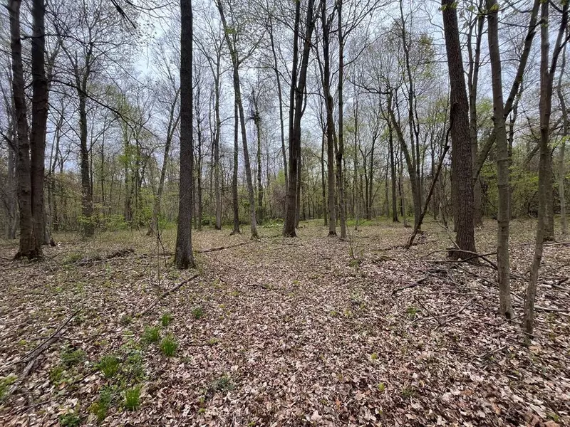 60701 62nd Avenue, Hartford Twp, MI 49057