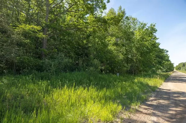 Bitely, MI 49309,00 V/L Comstock Ave Par B