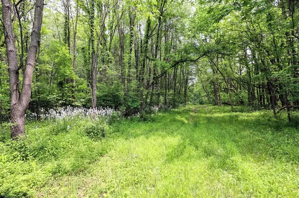 VL Doster Road, Lot#WP001, Prairieville Twp, MI 49080