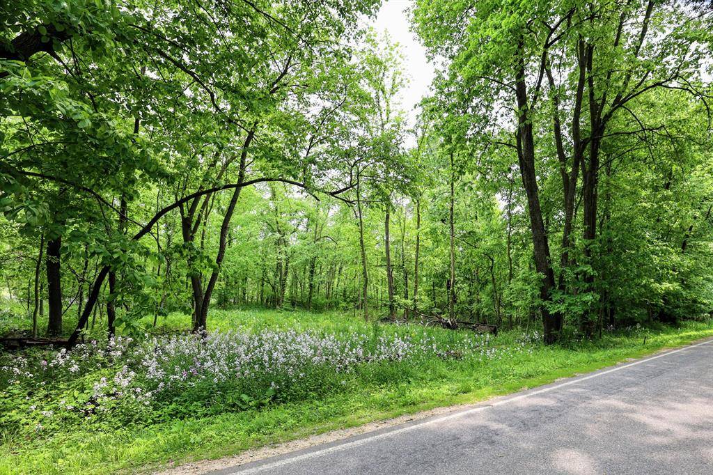 Prairieville Twp, MI 49080,VL Doster Road, Lot#WP001