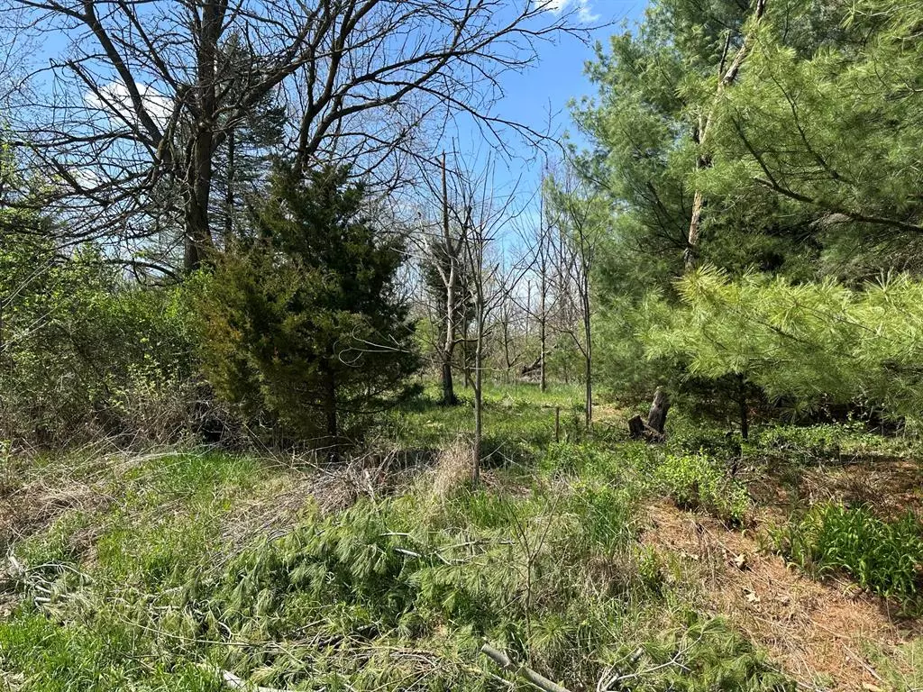 Sherman Twp, MI 49091,VL2 Ottokee Drive