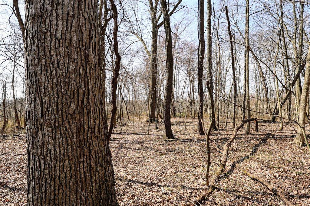 Johnstown Twp, MI 49021,11840 Schreiner Road Road