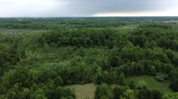 Pioneer Street,  Fabius Twp,  MI 49067
