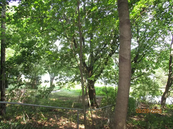 Pine Trail, Lockport Twp, MI 49093