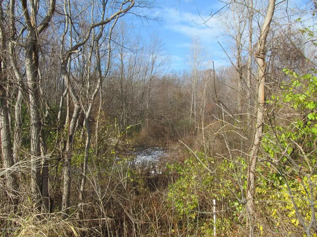 Lincoln Twp, MI 49127,W Marquette Woods Road