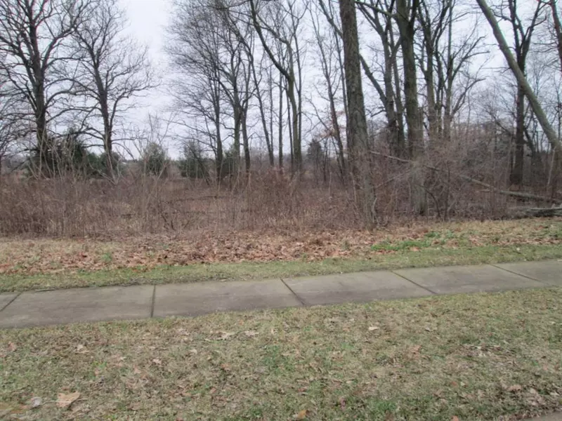 19 Sonoma Court, Baroda Vlg, MI 49101