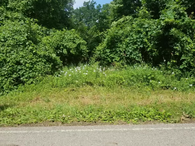 0 Anderson Road, Howard Twp, MI 49120