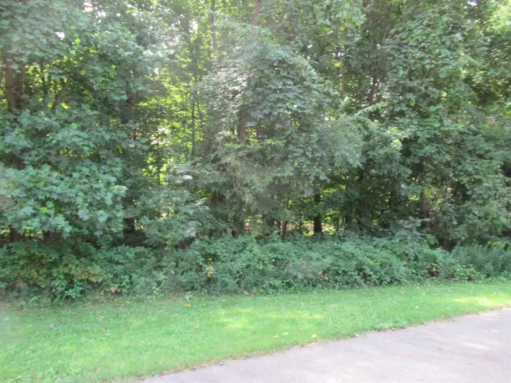 Lagrange Twp, MI 49031,Tract 1 Deep Woods Drive