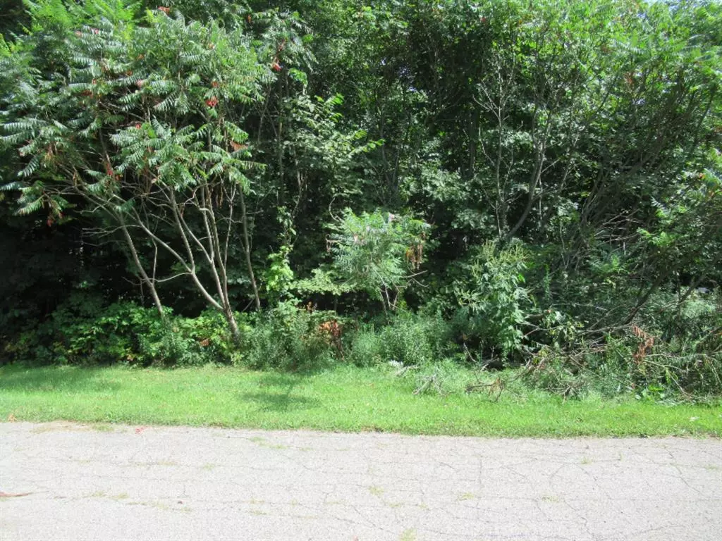 Lagrange Twp, MI 49031,Tract 3 Deep Woods Drive