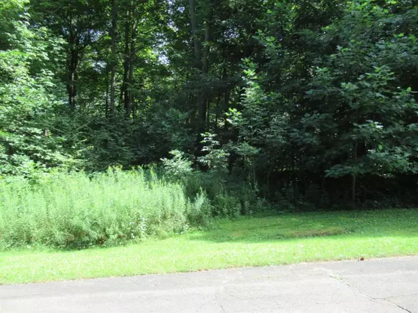 Tract 4 Deep Woods Drive, Lagrange Twp, MI 49031