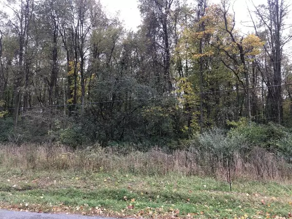 Bertrand Twp, MI 49120,V/L Briar Road