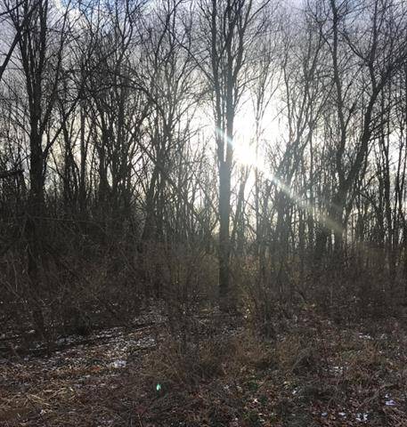 0 Redfield Street, Milton Twp, MI 49120