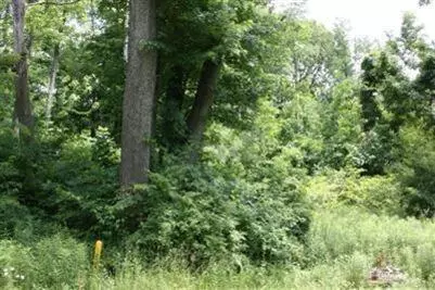 1 Anita Lane, Chikaming Twp, MI 49116