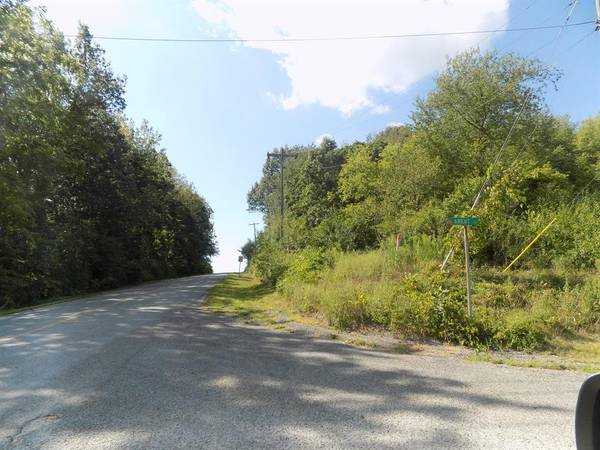 0 Mountain Road, Coloma Twp, MI 49038