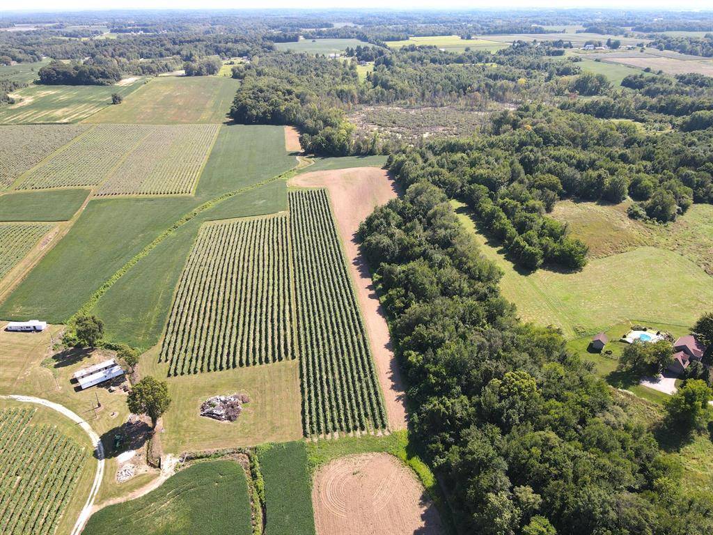 Oronoko Twp, MI 49103,V/L E Hinchman Road