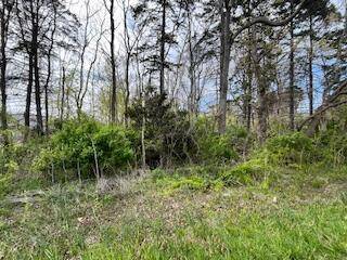 Lincoln Twp, MI 49085,0 S Lakeshore Drive