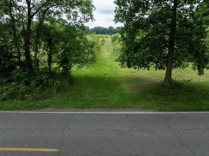 V/L Brush Rd, Milton Twp, MI 49120