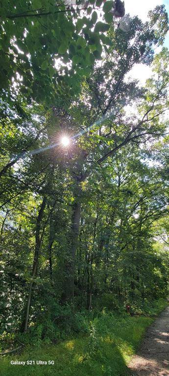 New Buffalo Twp, MI 49117,19343 Ravine Drive