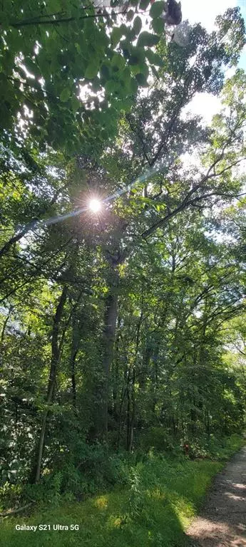 New Buffalo Twp, MI 49117,19343 Ravine Drive