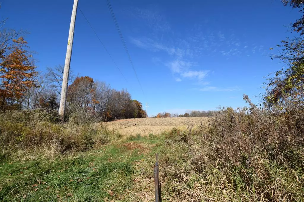 Arlington Twp, MI 49013,00001 38th Avenue
