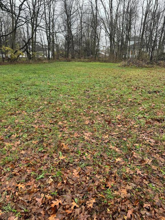 V/L Mulberry Street, Vandalia Vlg, MI 49095