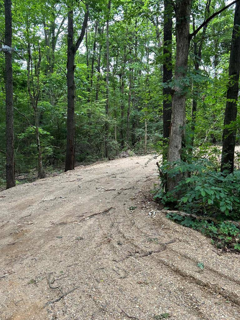 69860 Gumwood Road, Milton Twp, MI 49120