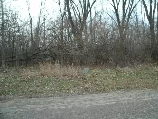0 Drew Drive Lot 29, Niles Twp, MI 49120