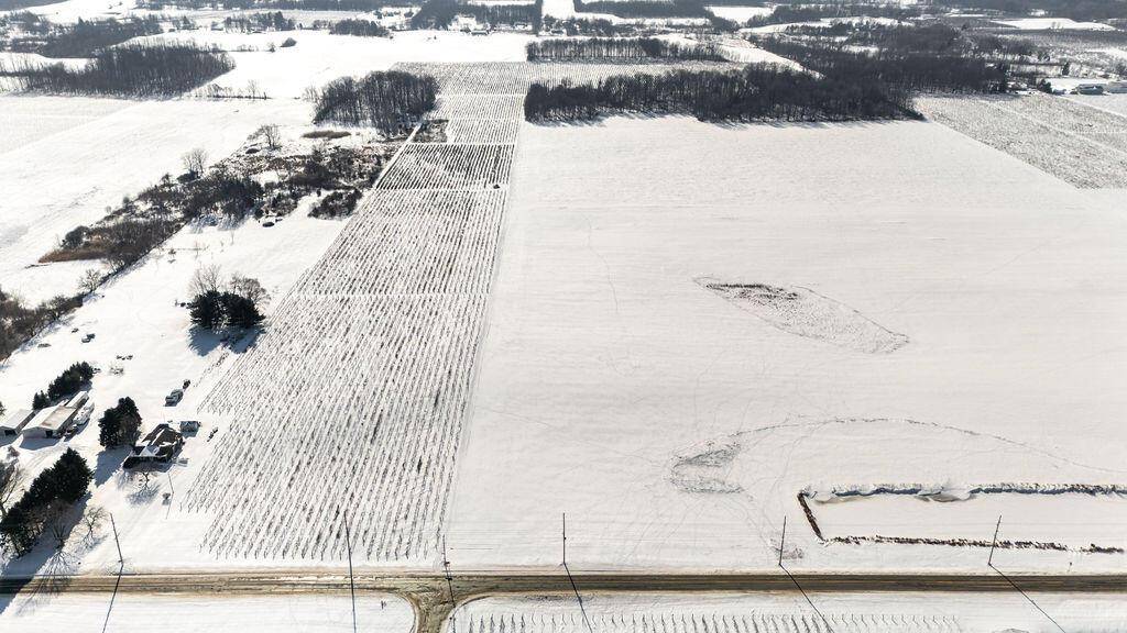 Oronoko Twp, MI 49103,V/L E Lemon Creek Road