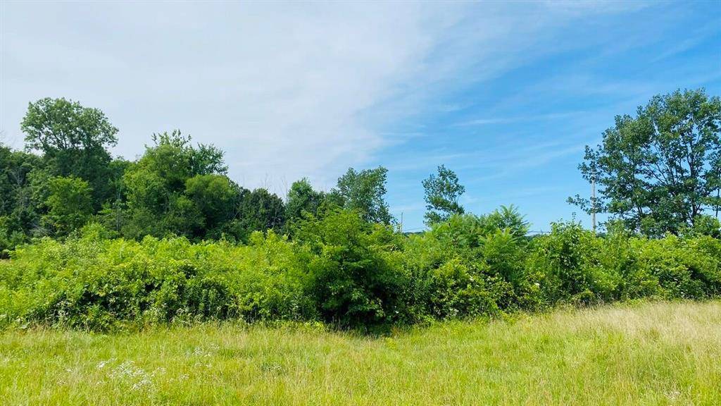 Three Oaks Twp, MI 49128,Kruger Road