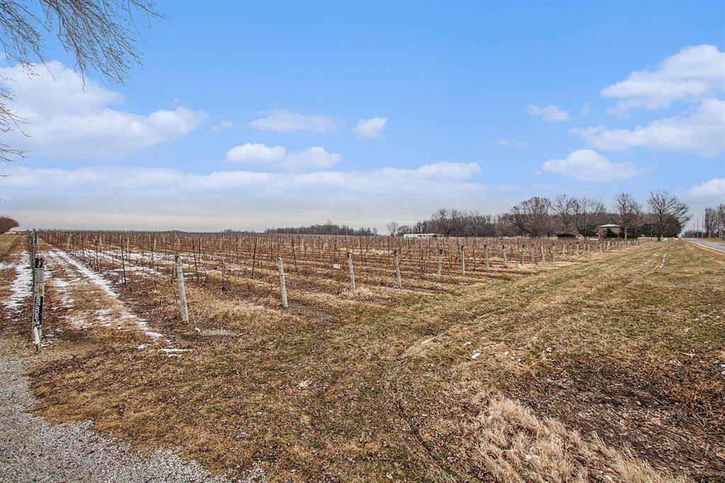 Oronoko Twp, MI 49103,975 E Lemon Creek Road 15