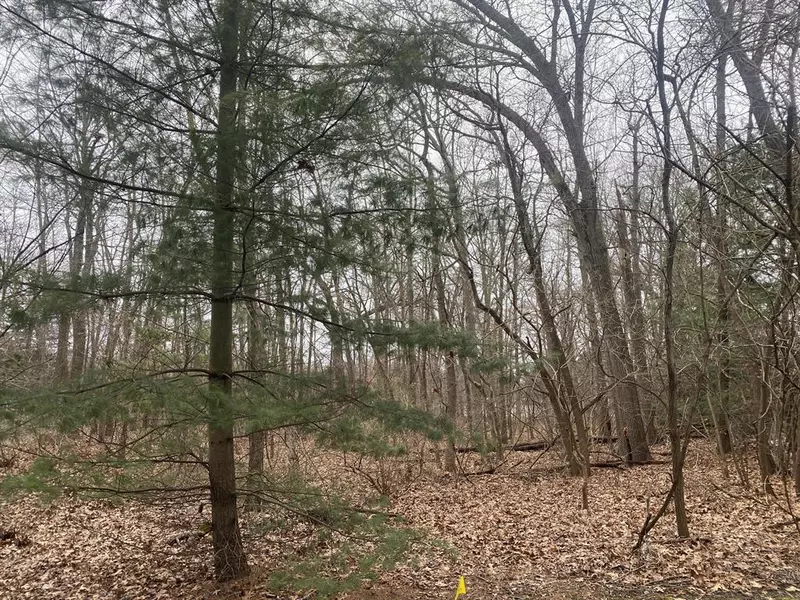 18657 Forest Beach Drive, New Buffalo Twp, MI 49117