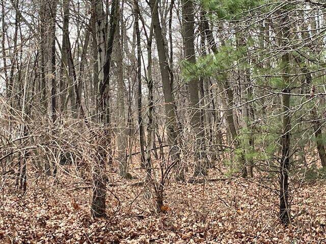 New Buffalo Twp, MI 49117,18655 Forest Beach Drive
