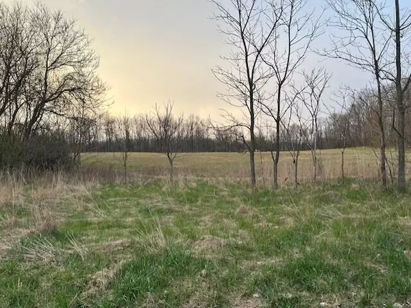 Calvin Twp, MI 49031,V/L MT ZION ST Street