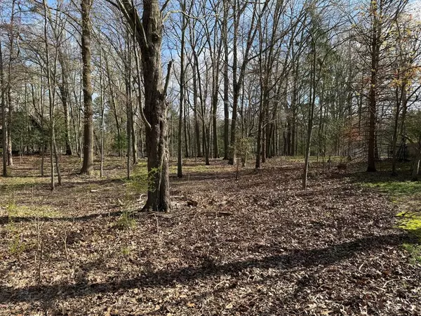 ABC Greenbush, Chikaming Twp, MI 49115