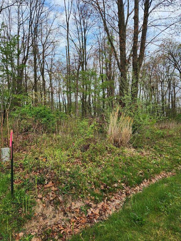11132 Strawberry Avenue 46, New Buffalo Twp, MI 49117