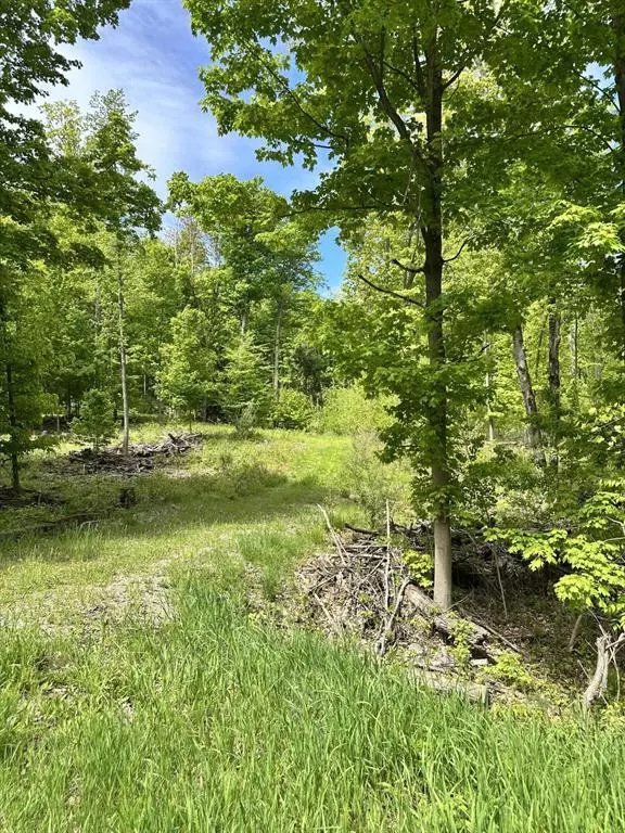 4333 E Town Line Road, Sherman Twp, MI 49410