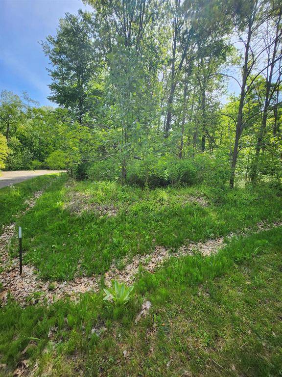 New Buffalo Twp, MI 49117,Address not disclosed