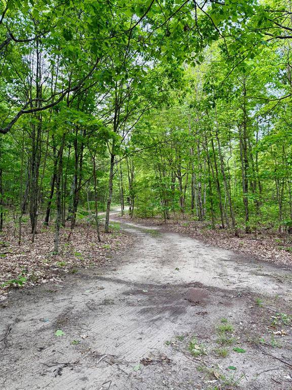 Columbia Twp, MI 49056,V/L 50th Street
