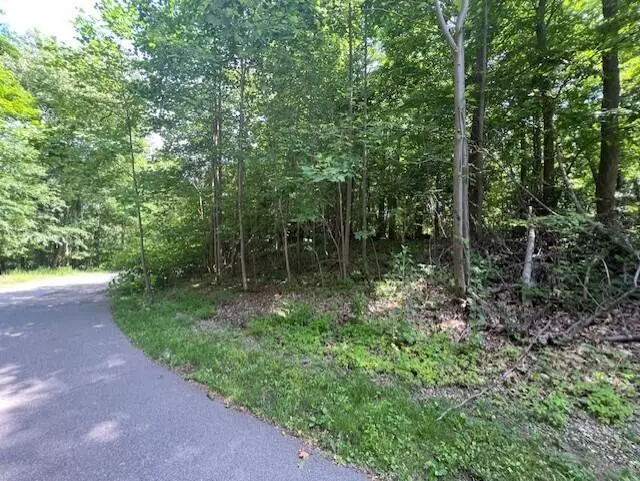 16975 River Bluff Drive 1, New Buffalo Twp, MI 49117