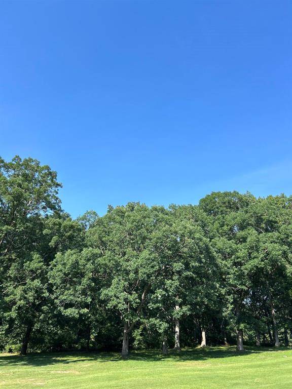 1 Lilac Lane, Grand Beach Vlg, MI 49117