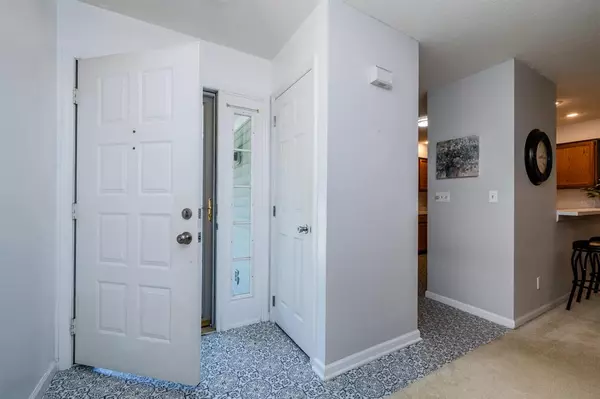 Shoreham Vlg, MI 49085,2460 Shoreham Highlands Street