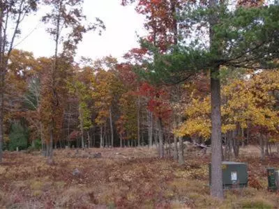 Angelwood Drive ; Modifier: Lot 13, Fruitland Twp, MI 49445