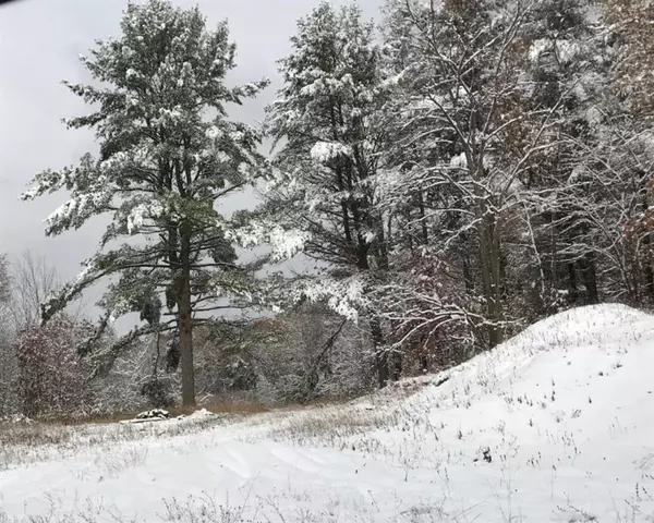 Holton Twp, MI 49425,4910 E Holton Whitehall Road