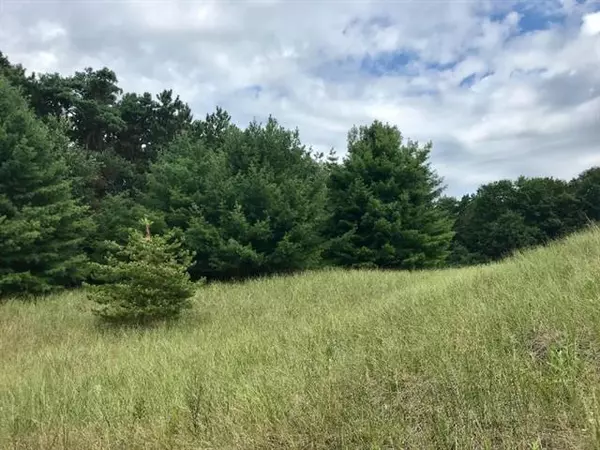 Port Sheldon Twp, MI 49460,Lot 72 Beachview Drive